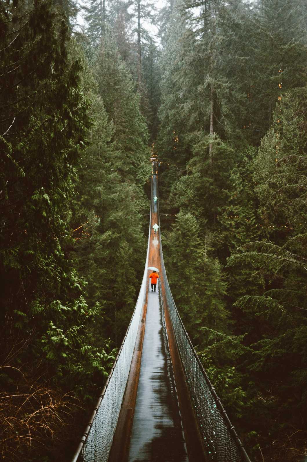capilano suspension bridge tour